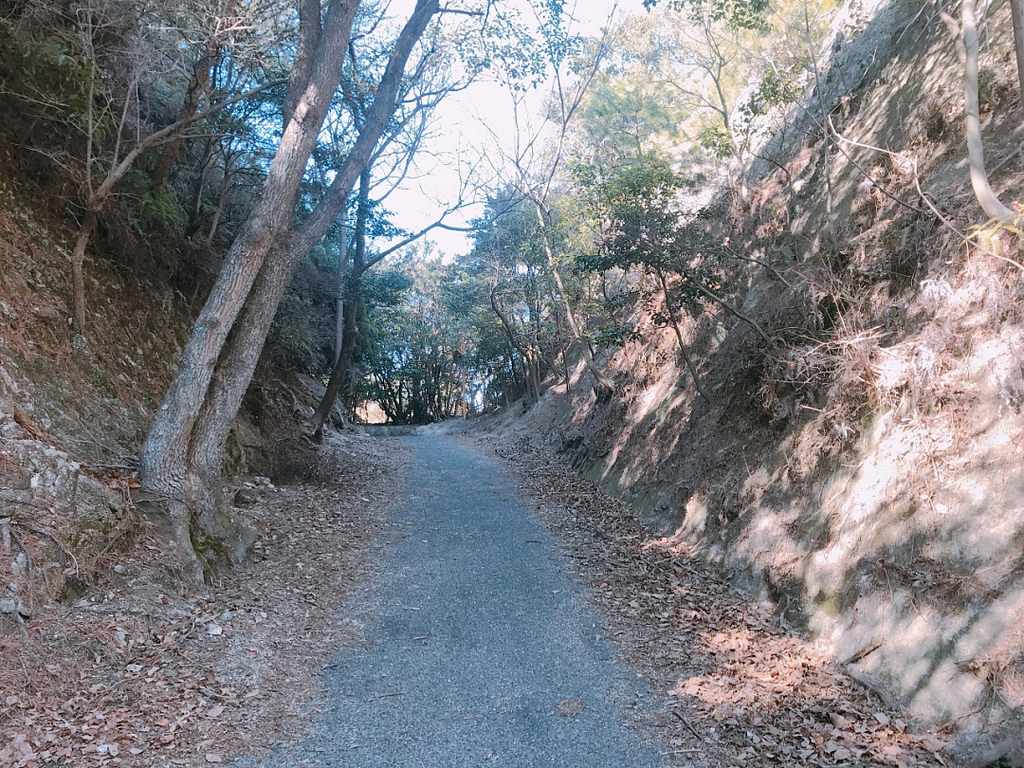 ss写真 2018-03-10 14 37 57